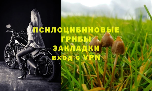 a pvp Кукмор