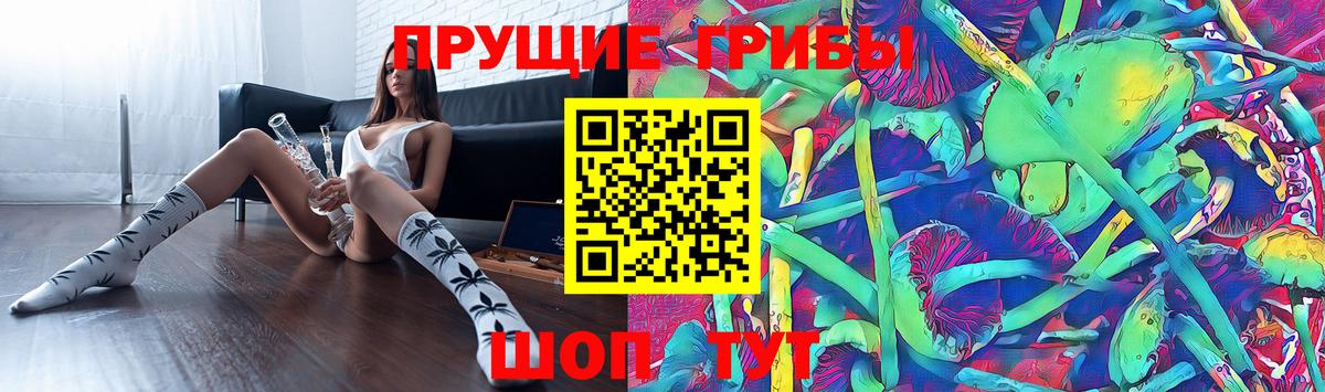 Псилоцибиновые грибы прущие грибы  где продают наркотики  Вход с VPN  Лянтор  Псилоцибиновые грибы мицелий 