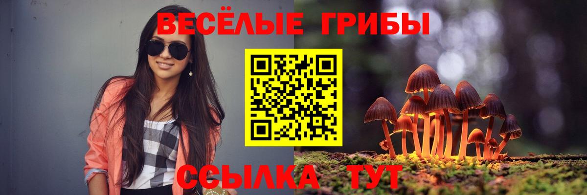 Псилоцибиновые грибы Psilocybe Лянтор